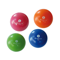 Product Μαλακή Μπάλα με βάρος (Weighted soft ball) από : base image