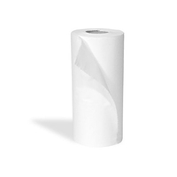 Product Χειροπετσέτα Ρολό πλάτους 24cm- 12τμχ base image